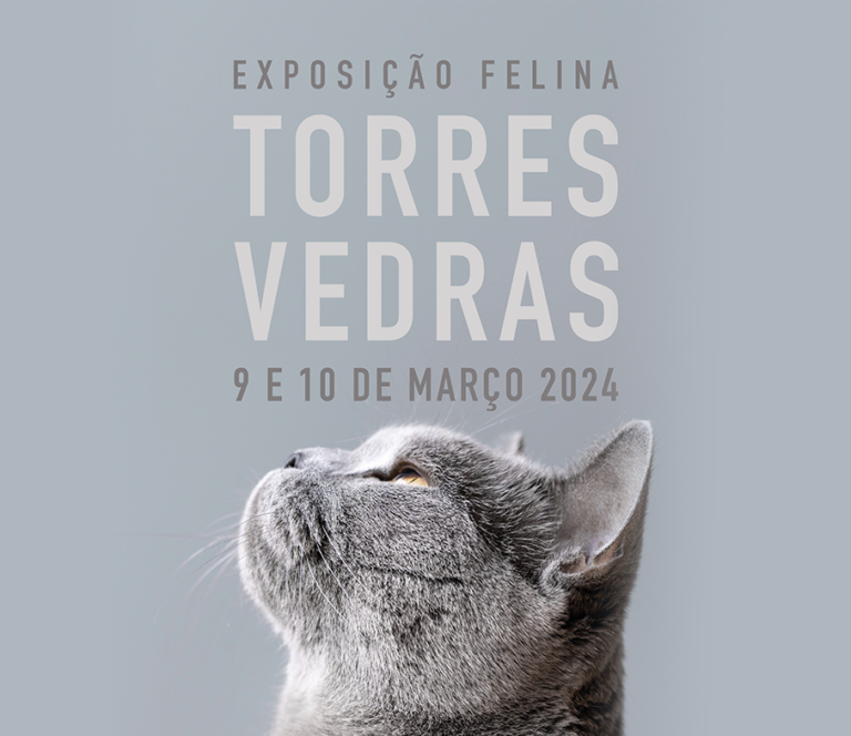 Exposition Féline FiFe TORRES VEDRAS 2024